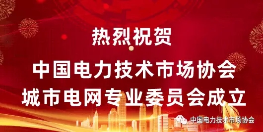 中国电力技术市场协会城市电网专业委员会成立